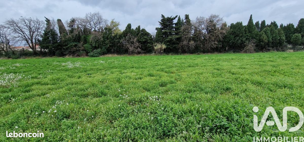 Terrain 329 m² Pézilla-la-Rivière (image 14)