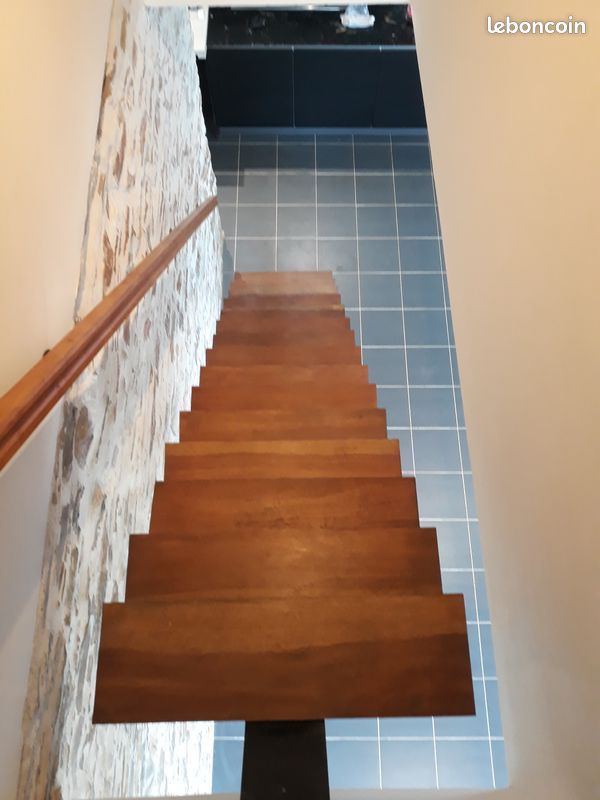 Escalier droit limon central (image 2)