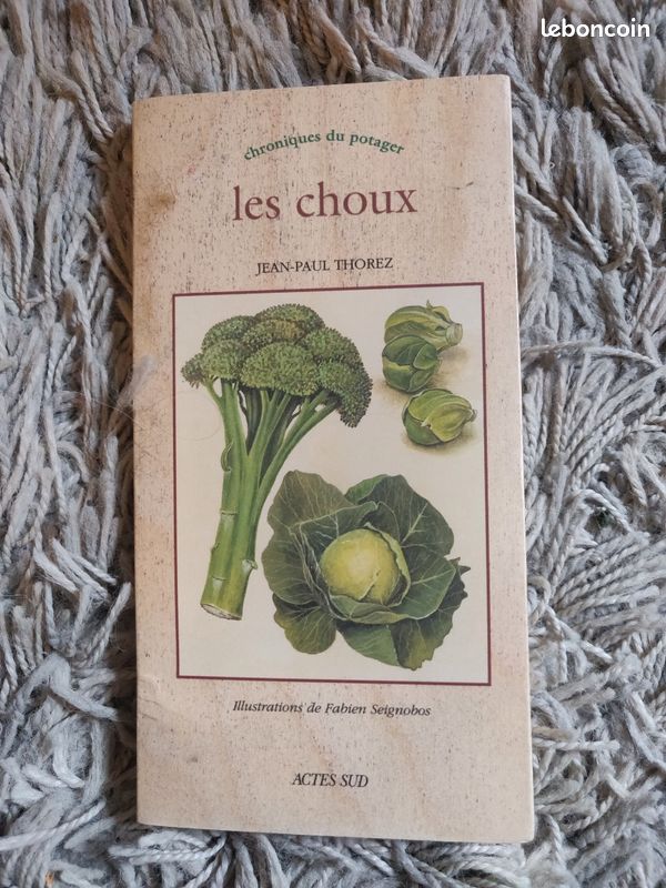 Chroniques du potager - Les choux (image 2)