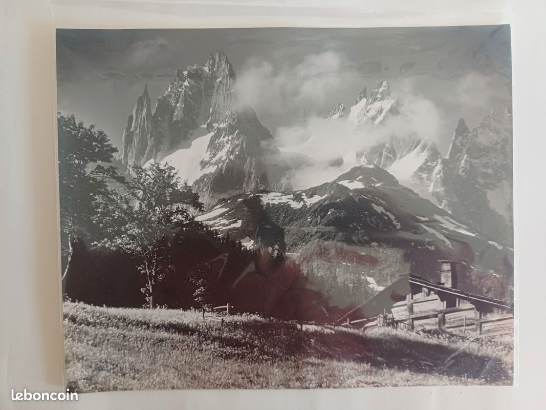 Tirage Albuminé Vintage 'Vallée De Chamonix Et Mont-Blanc' - Circa 1880 - Format 22x28,5 Cm