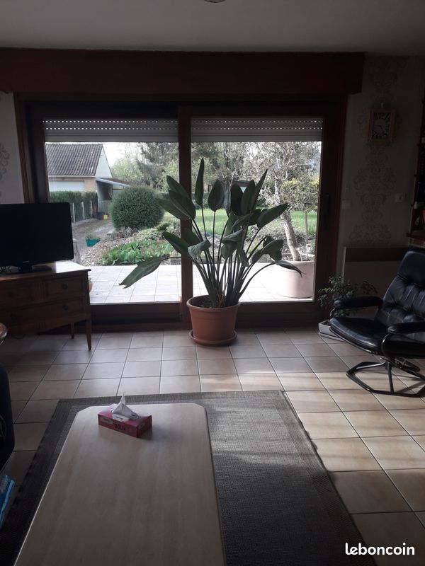 Louer chambre (image 3)