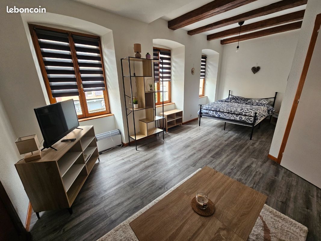 Appartement 2 pièces 30 m² · à Masevaux-Niederbruck · 30 m² · 540 €