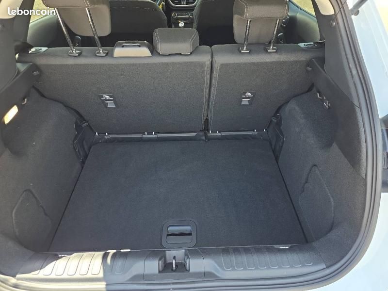 Ford Puma 1.0 Flexifuel 125ch S&S mHEV Titanium (image 13)