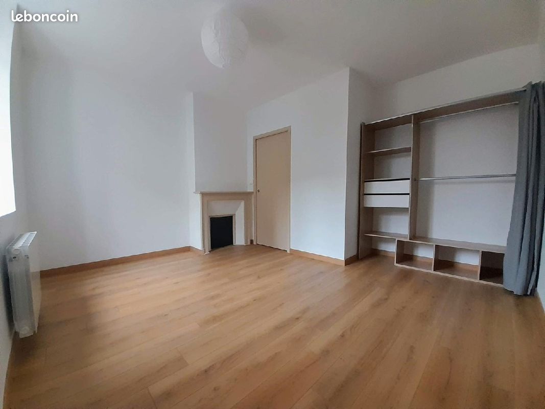 Appartement de 41m2 refait a neuf - Limoges 87000 (image principale 1)