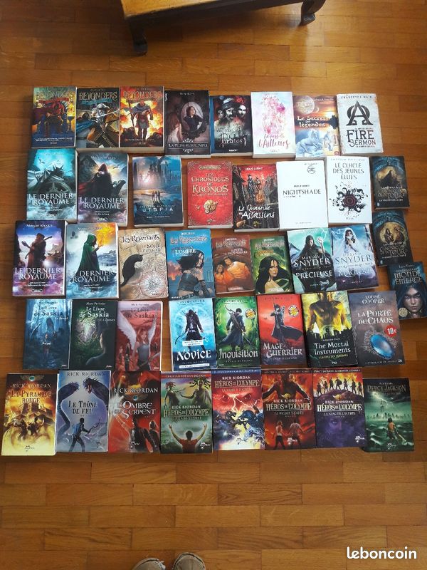 Lot de livres jeunesse fantastique (image 1)