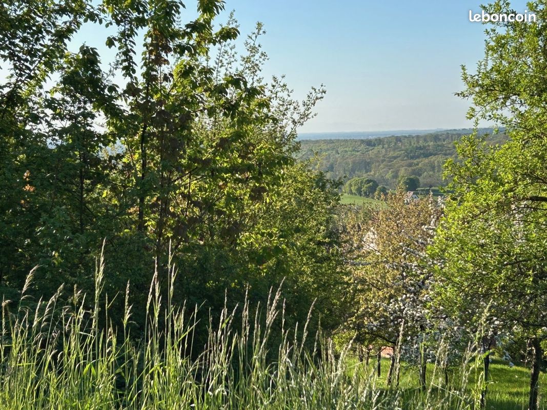 Oberbronn · 80 000 €