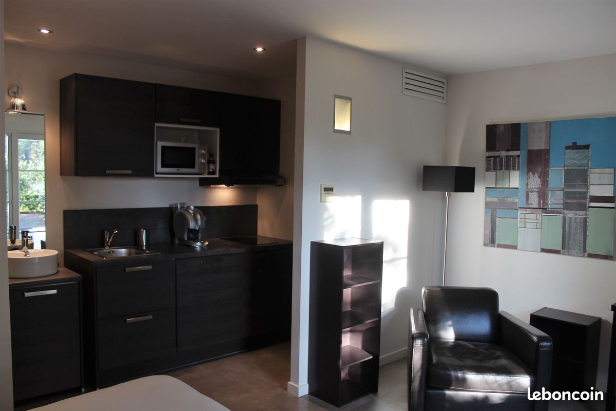 Appartement a louer tassin-la-demi-lune - 1 pièce(s) - 24 m2 - Surfyn