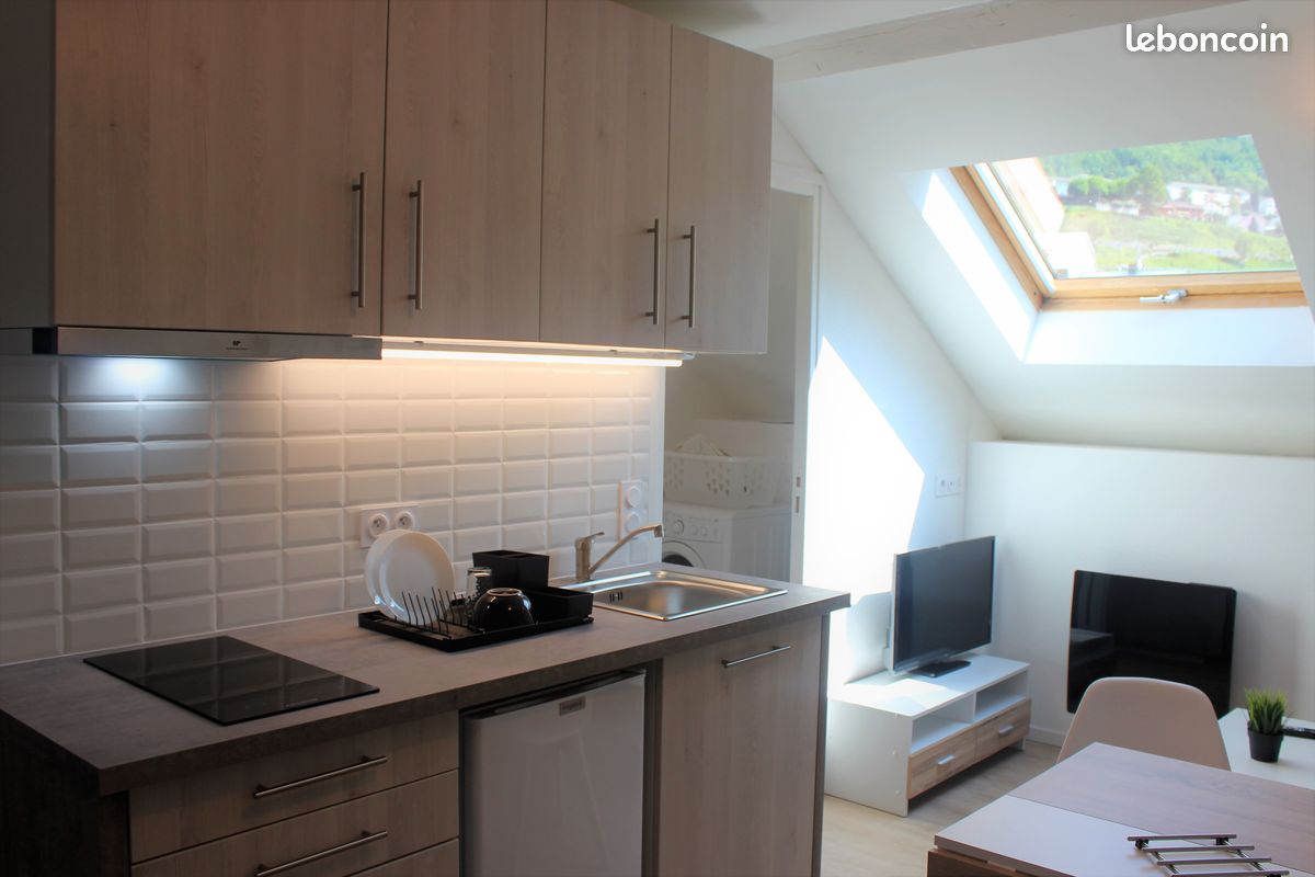 Appartement 1 pièce 20 m² · à Hauts de Bienne · 20 m² · 480 €/mois