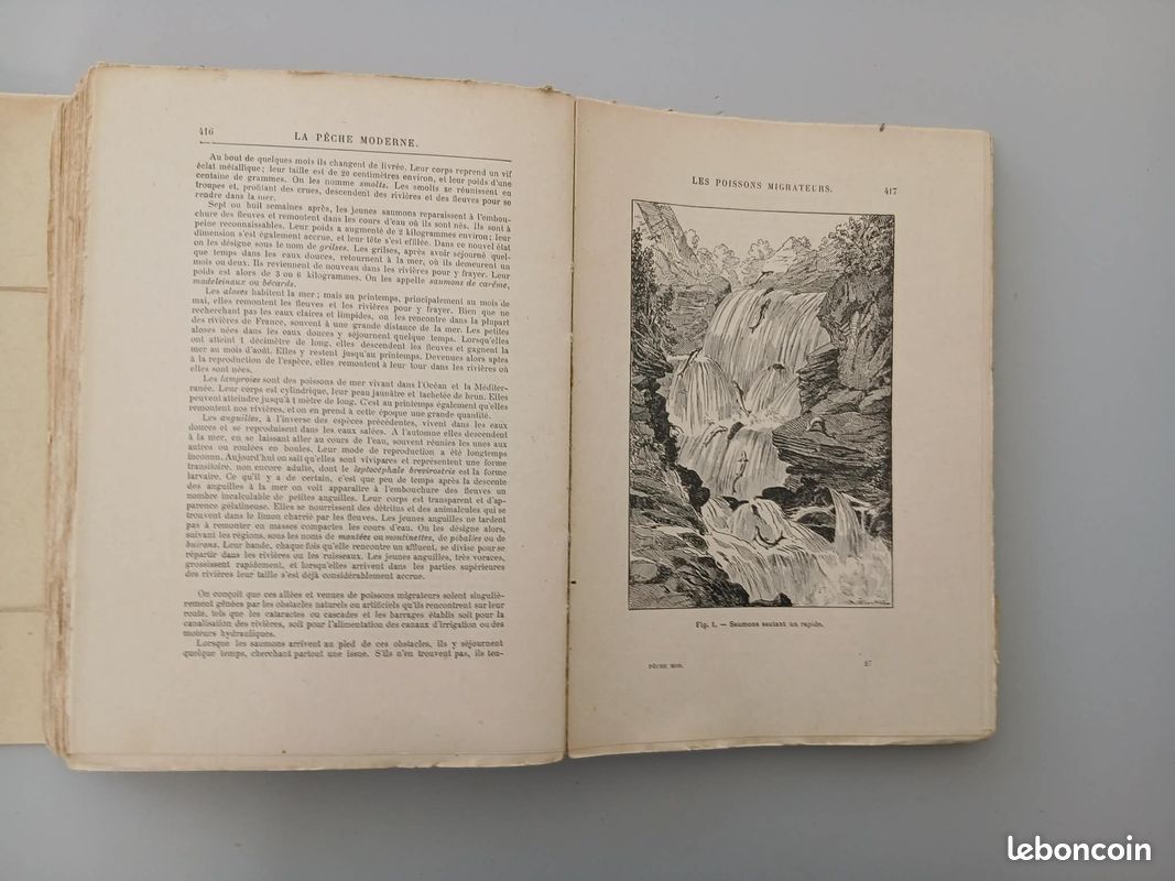 Histoire de la pêche à l'époque moderne