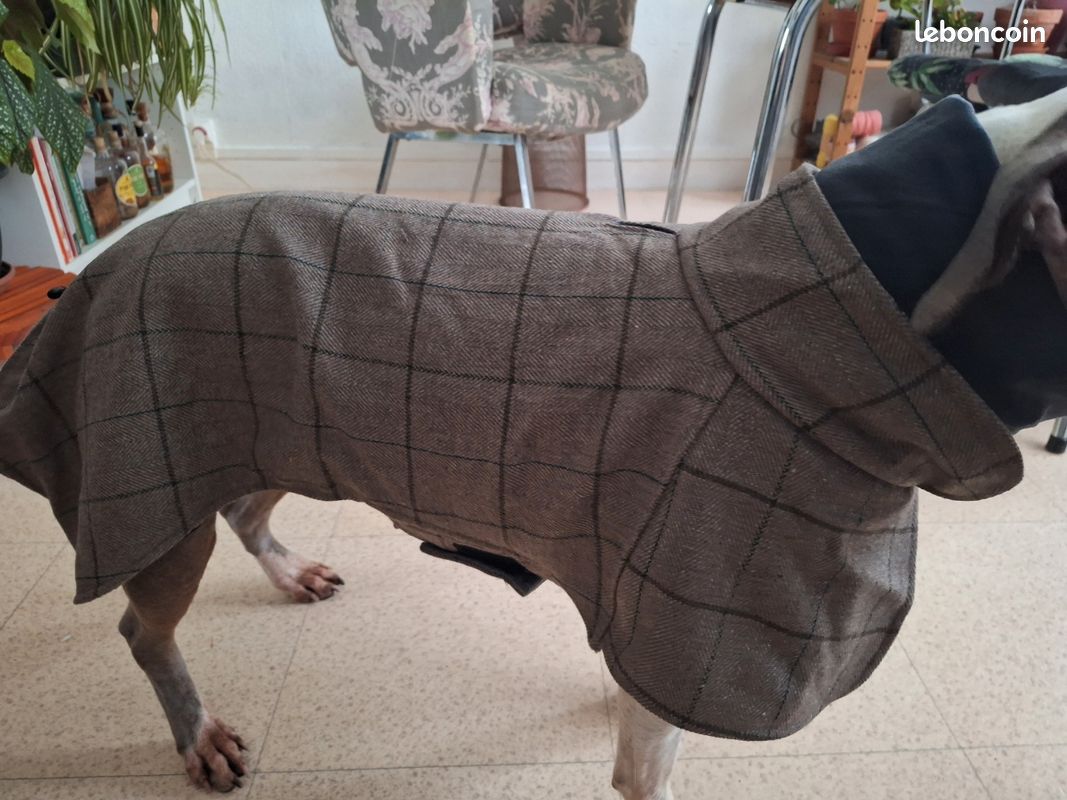 Manteau chien (image 1)