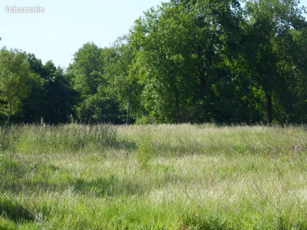 Terrain 372 m² Preguillac · à Préguillac · 29 760 €