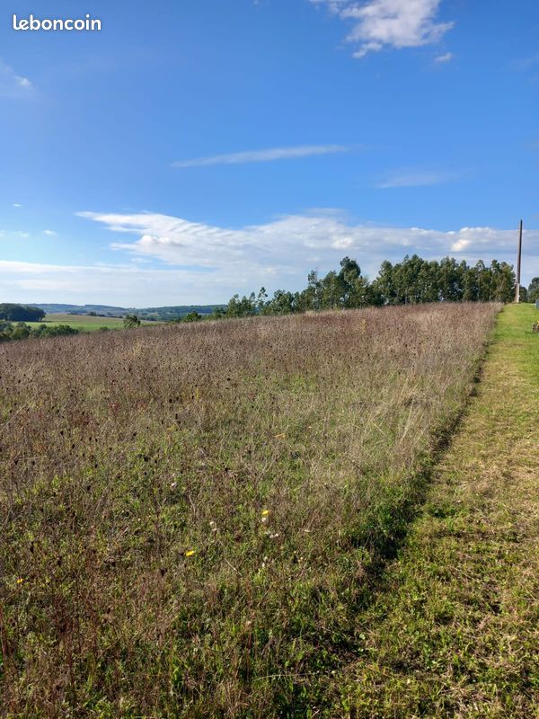 Terrain constructible · à Saint-Clair · 31 700 €