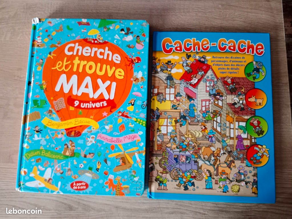 Lot livres cherche et trouve (image 1)