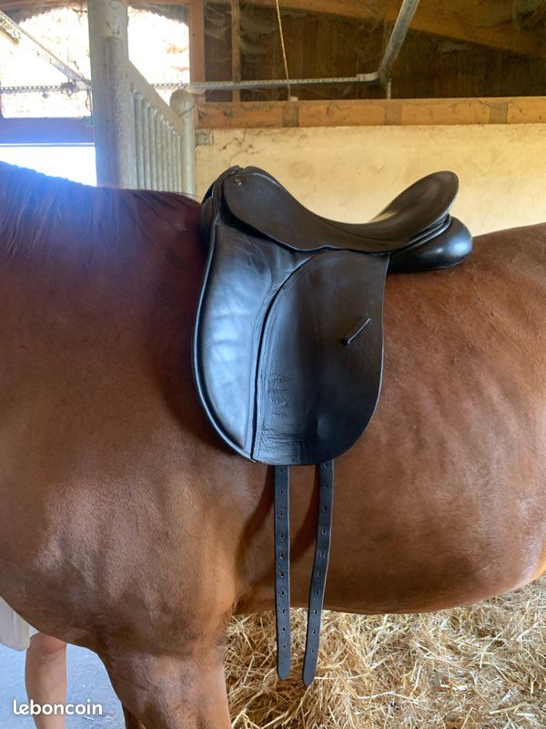 Selle De Dressage County En Cuir, Taille 16 1/2", Couleur Marron, Fabrication UK, Occasion