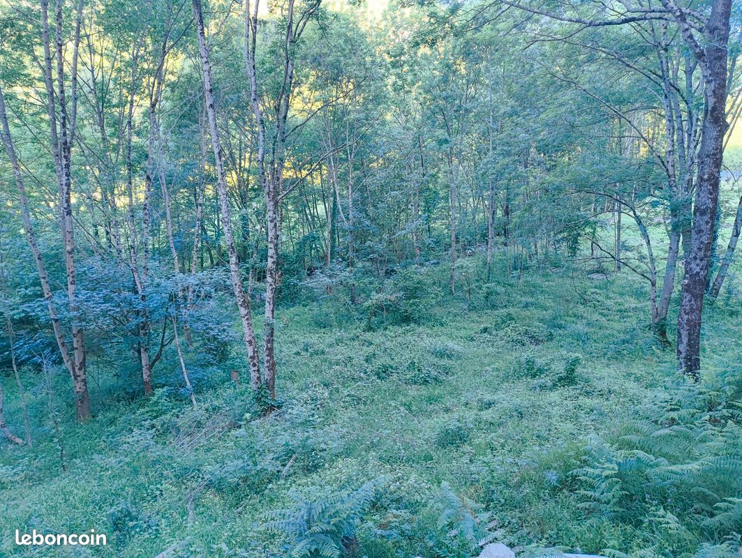 Terrain constructible 2100m2 · à Aizac · 79 000 €