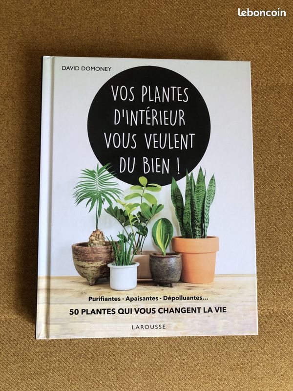 Vos plantes d'intérieur vous veulent du bien (image 1)