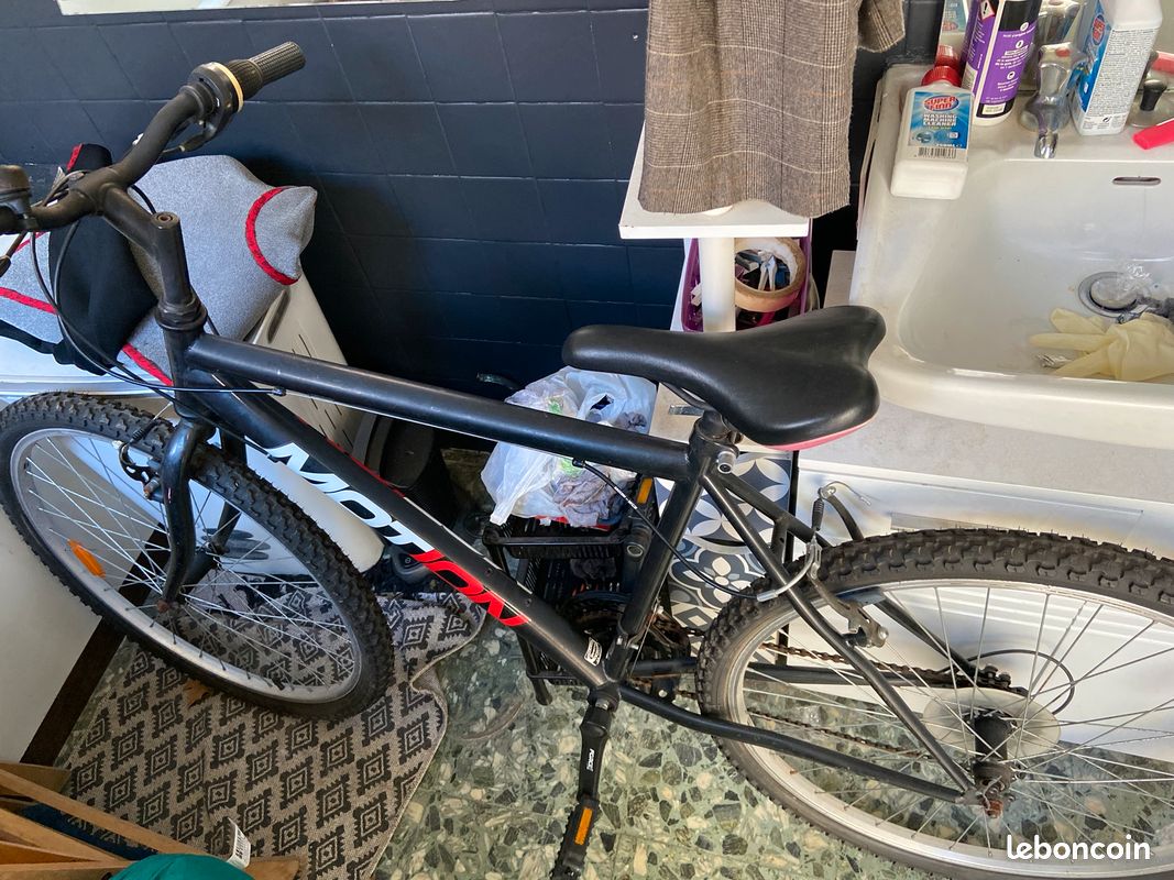 Vélo adulte (image 2)