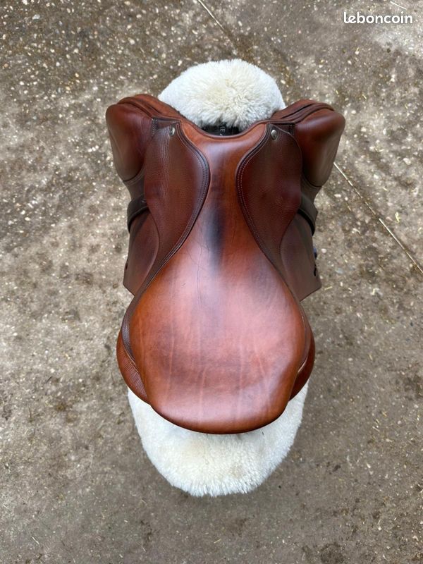 Selle forestier (image 5)