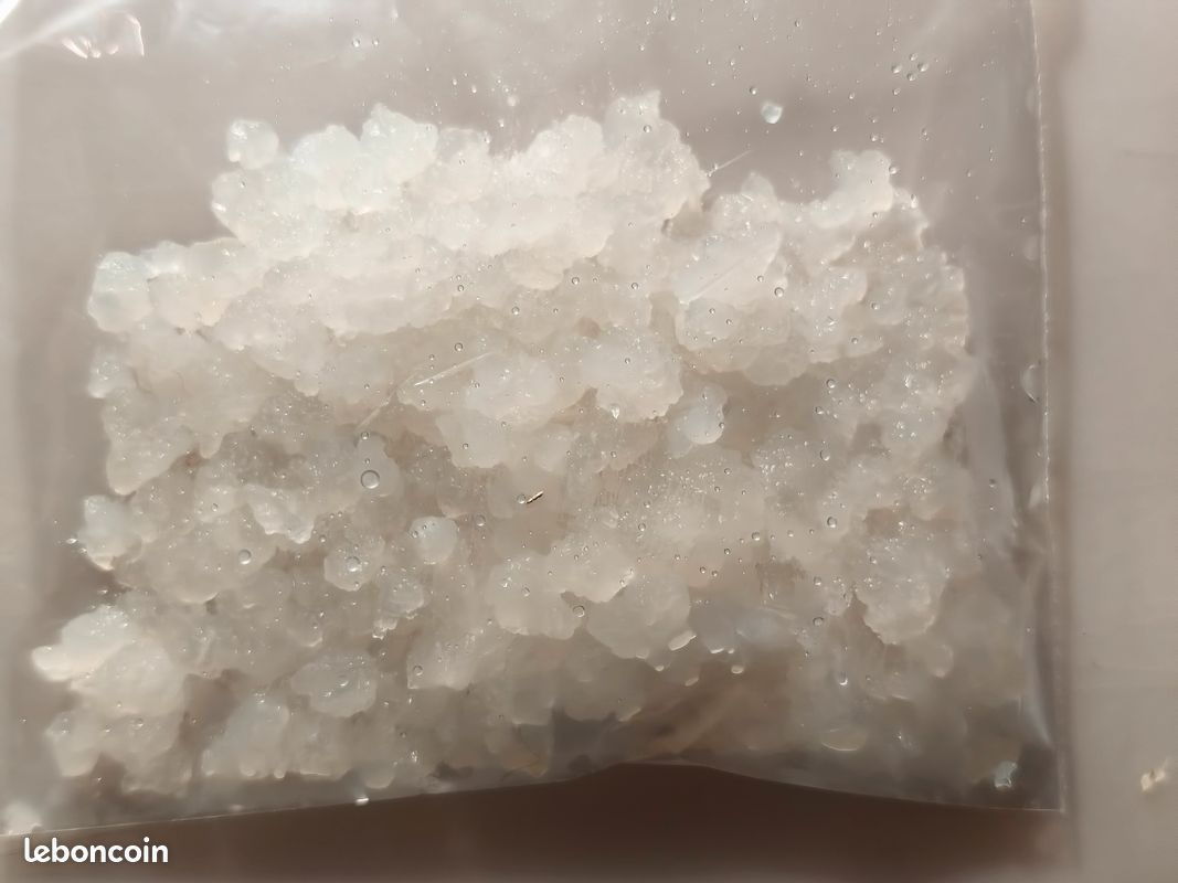 Graines pour faire du Kefir d'eau (image 1)