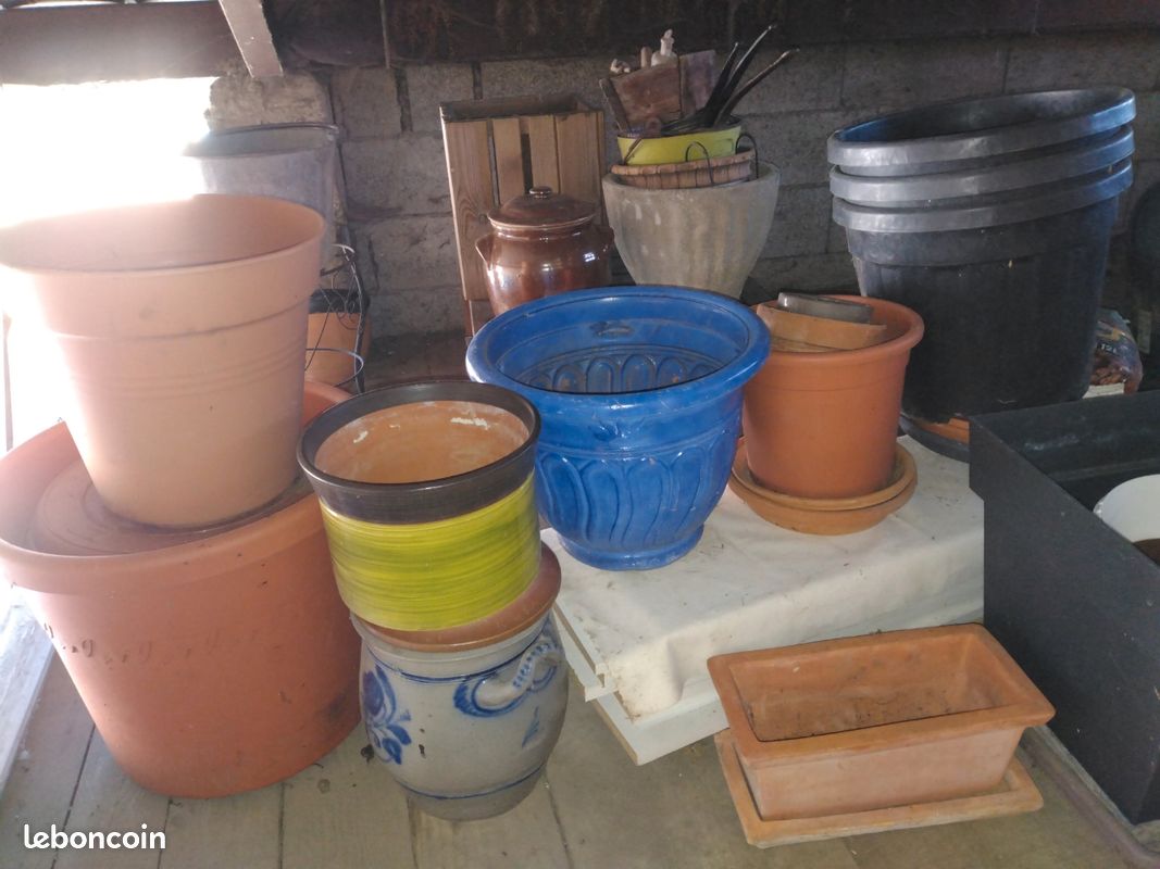 Nbrs Pot comme photo (image 2)