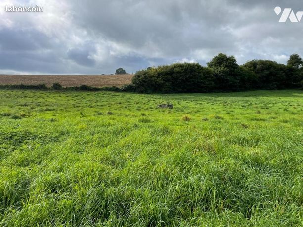 Terrain 18240 m² REFFUVEILLE