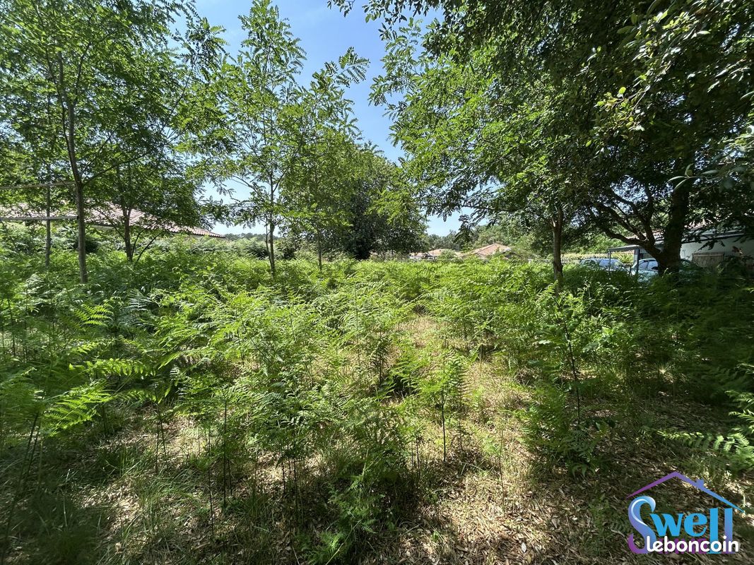 Terrain 800 m² · à Moliets-Et-Maa · 800 m² · 260 000 €