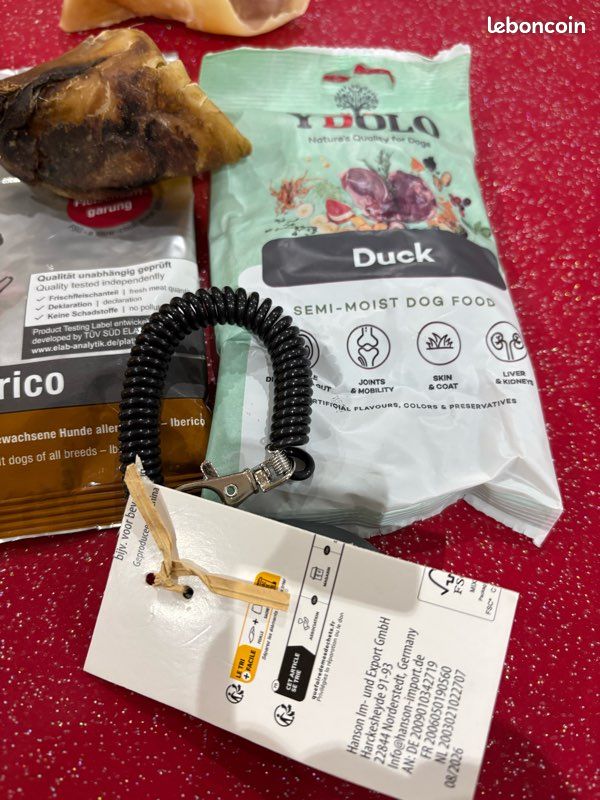 Accessoires pour chiens neuf (image 2)