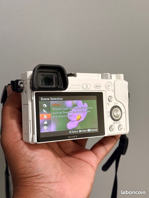 Sony Alpha A6000 + 16-50 mm OSS – Excellent état (image 5)