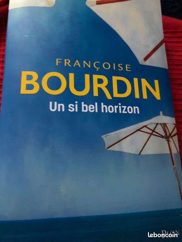 Livre un si bel horizon (image 1)