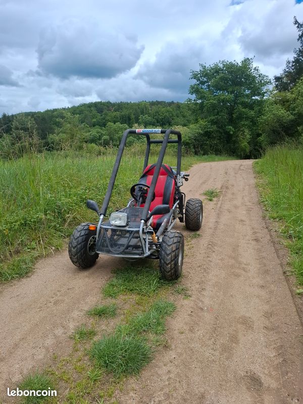 Buggy roxon (image 1)
