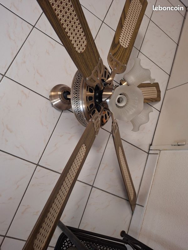 Ventilateur plafond (image 2)