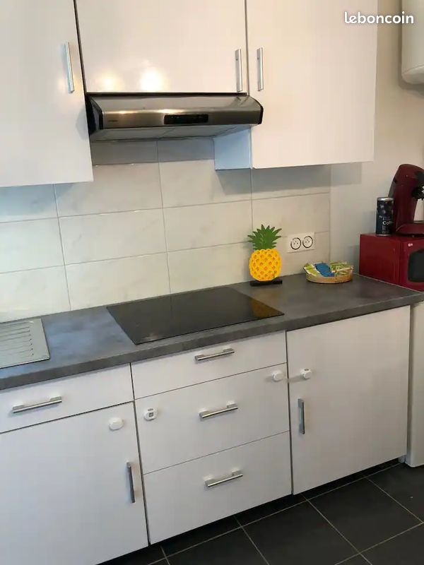 Location maisonnette avec jardin (image 8)