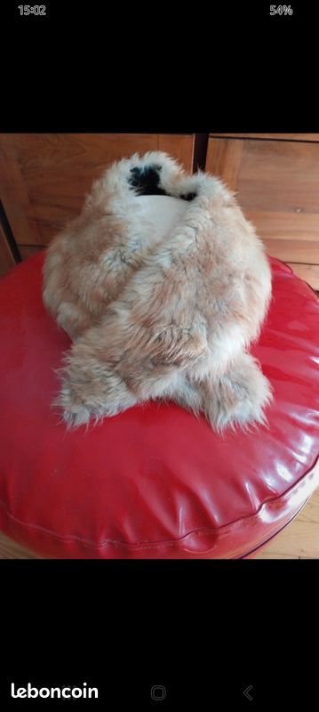 Renard (image 1)