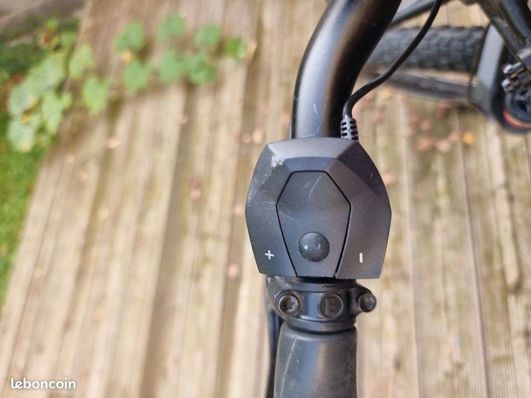 Vttae Riese & Müller GT Rohloff 2021 (transformation en VTT) (image 8)