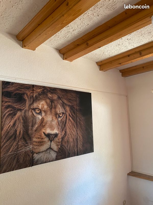 Appartement d’hôtes avec piscine (image 4)