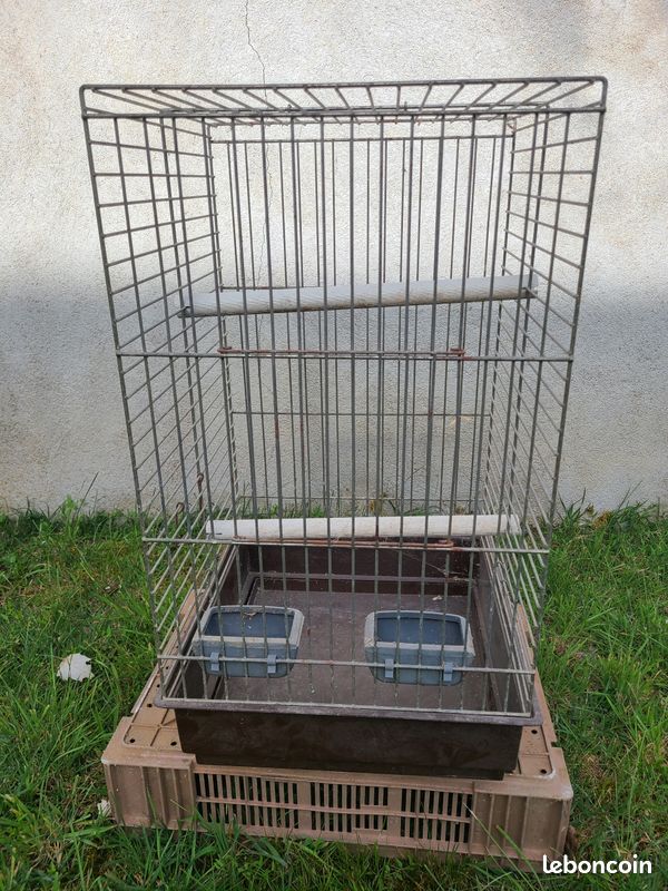 Cage perroquets (image 1)