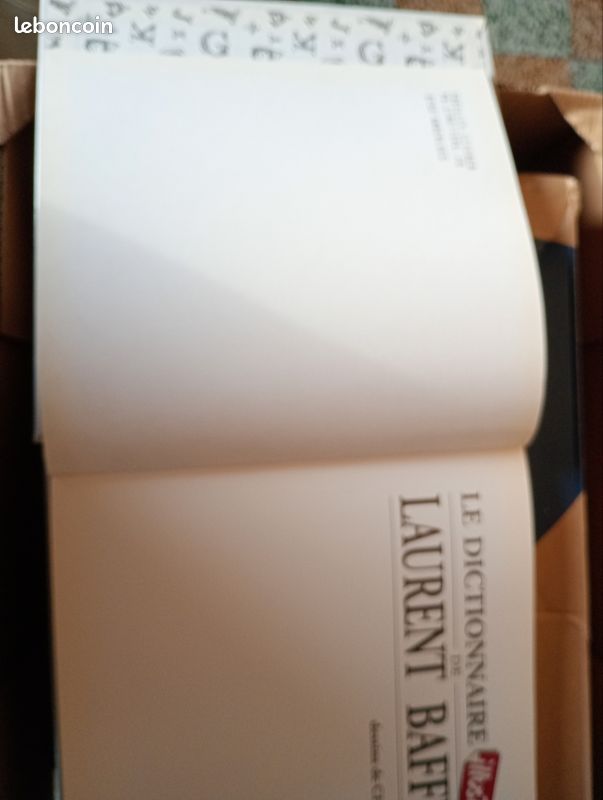 Le dictionnaire illustré de Laurent Baffie dessin de Chaunu (image 2)