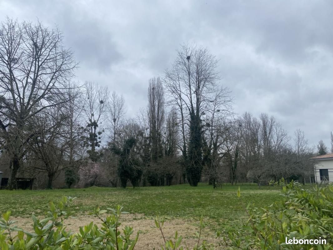 Terrain 2 611 m² Barsac - Ventes immobilières