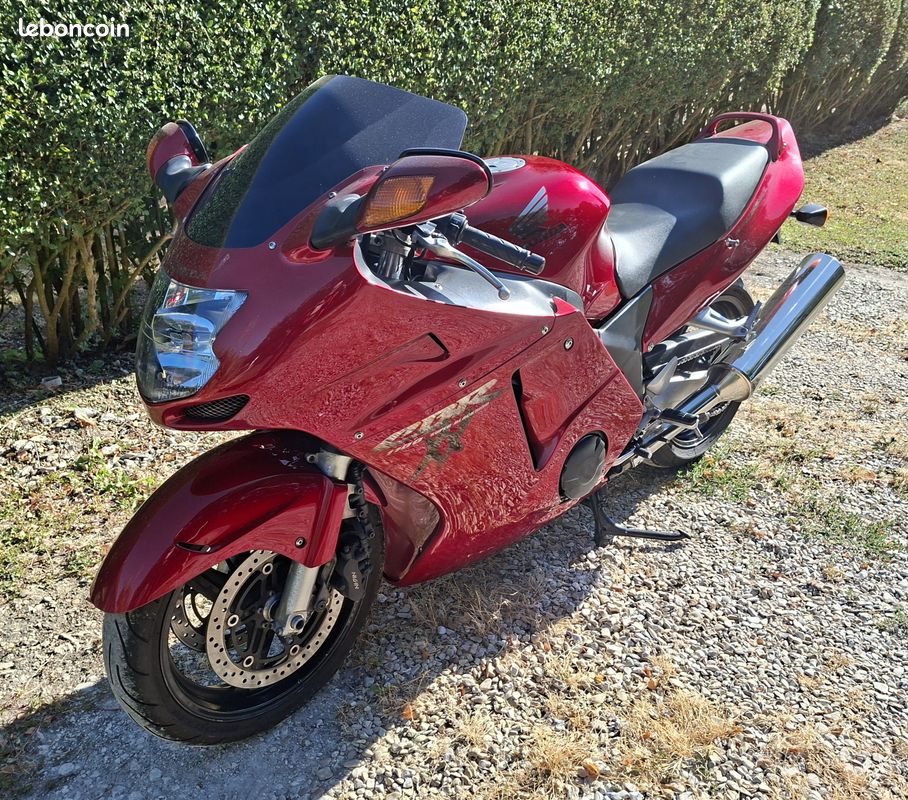 Honda CBR 1100 XX Super Blackbird Carbus – Full origine – Historique complet – 56 000 km (image 2)