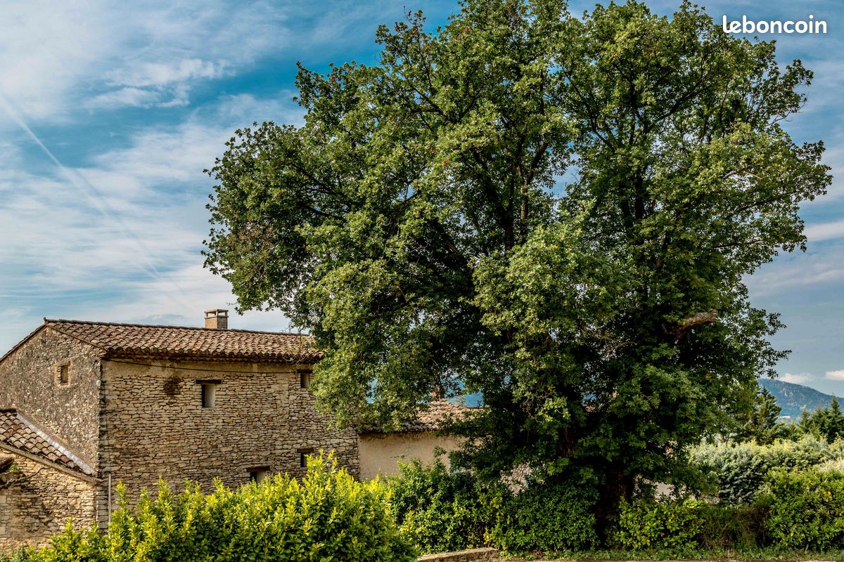 Chambres d'hôtes Gordes (image 9)