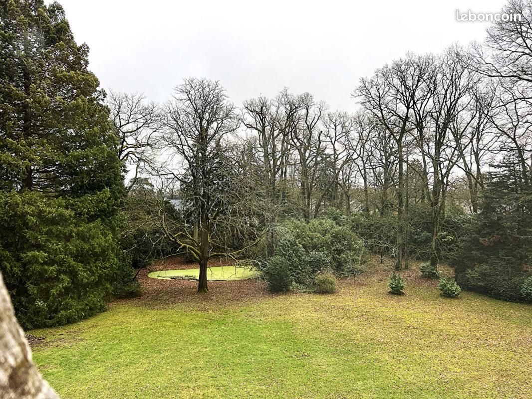 Local 496 m² (image 16)