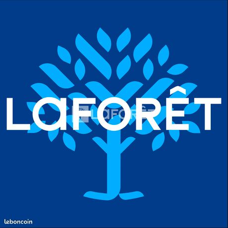 https://img.leboncoin.fr/api/v1/lbcpb1/images/35/ad/17/35ad17da64c9213ed82683a013210740ad4cd973.jpg?rule=ad-image