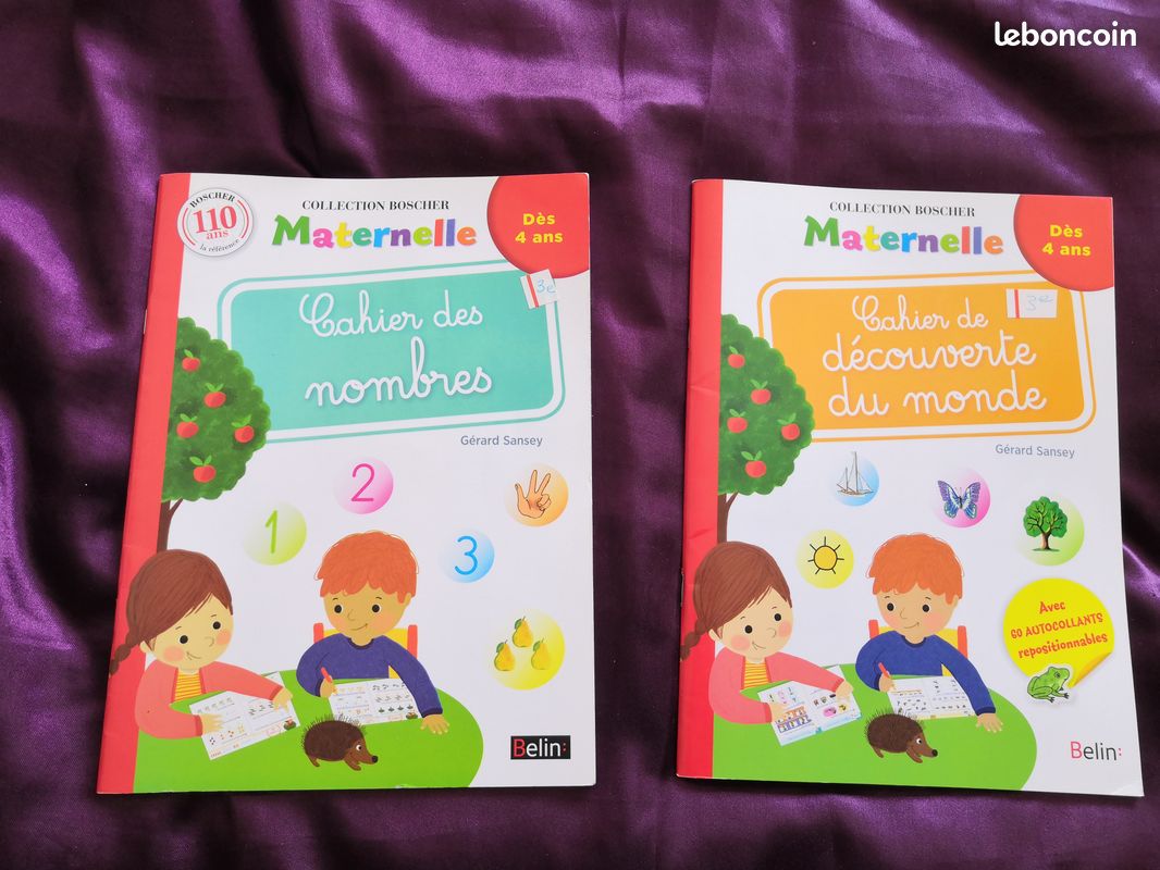 Cahier de vacances, livres pédagogiques (image 2)
