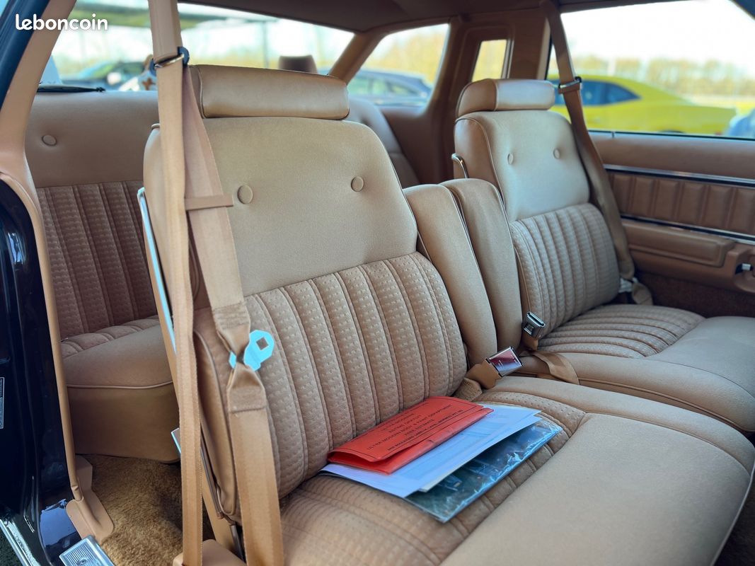 Ford Thunderbird 5,8 V8 351ci Sport 1978 (image 4)