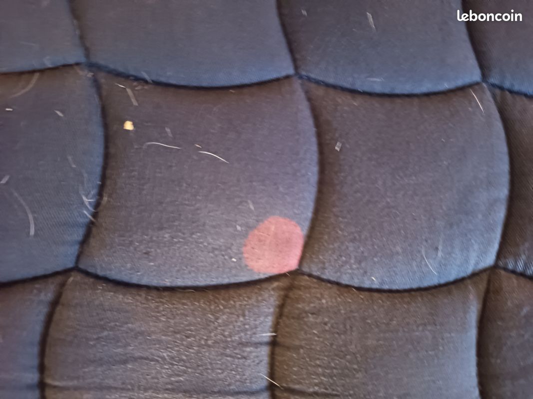 Tapis bleu Lami cell sport (image 3)