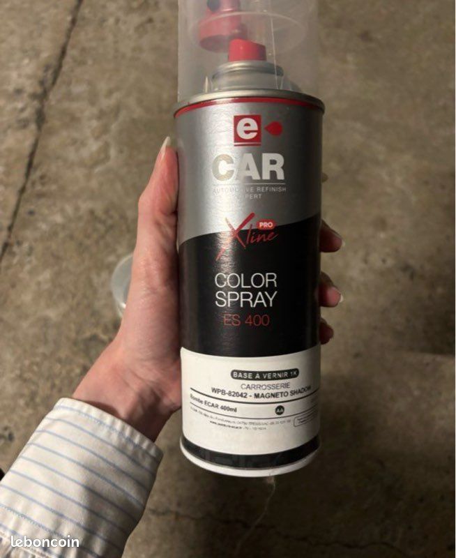 Peinture jantes tesla aéro 18p (image 3)