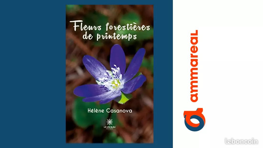 Fleurs forestières de printemps (image 1)