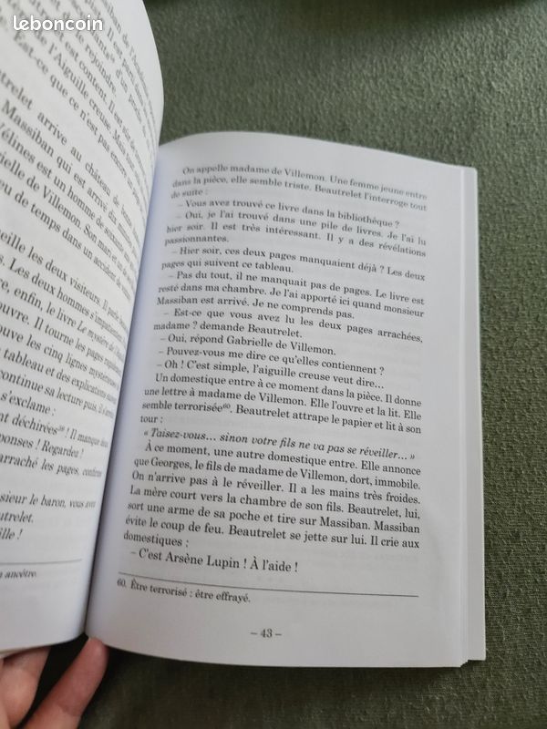 Livre l'aiguille creuse Arsene lupin (image 3)