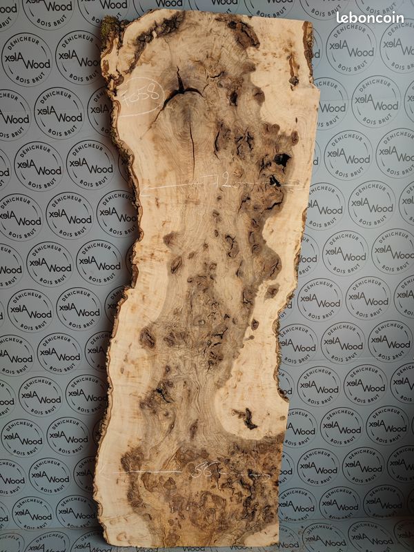 Plateau planche bois brut loupe de frêne olivier (image 1)