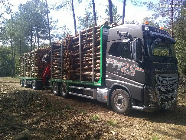 Bois de chauffage chêne sec en billons de 2.0m livré par camion (image 3)